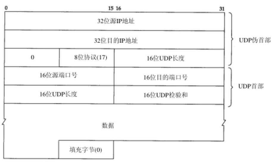 UDP报头